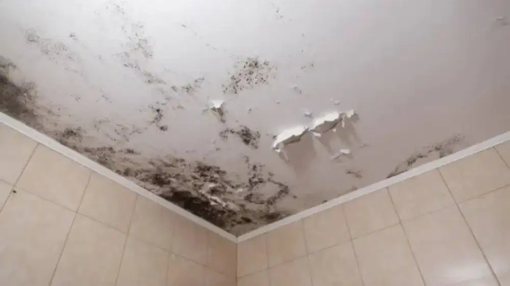 Perbaikan Atap Bocor,Talang Air,Dak Rembes dan Renovasi