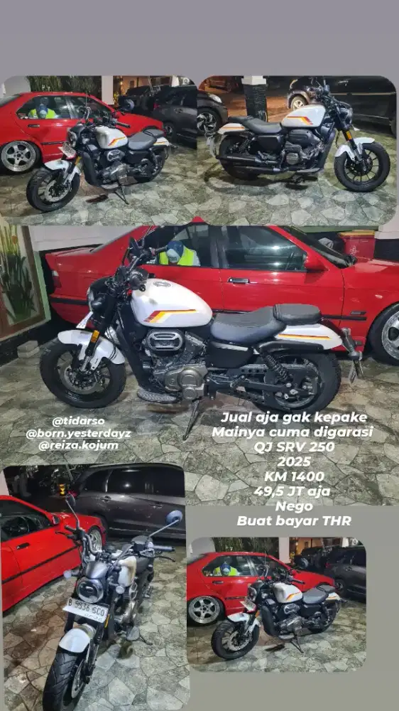 SRV 250 QJ MOTOR