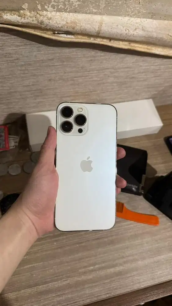 iphone 13 pro max 256