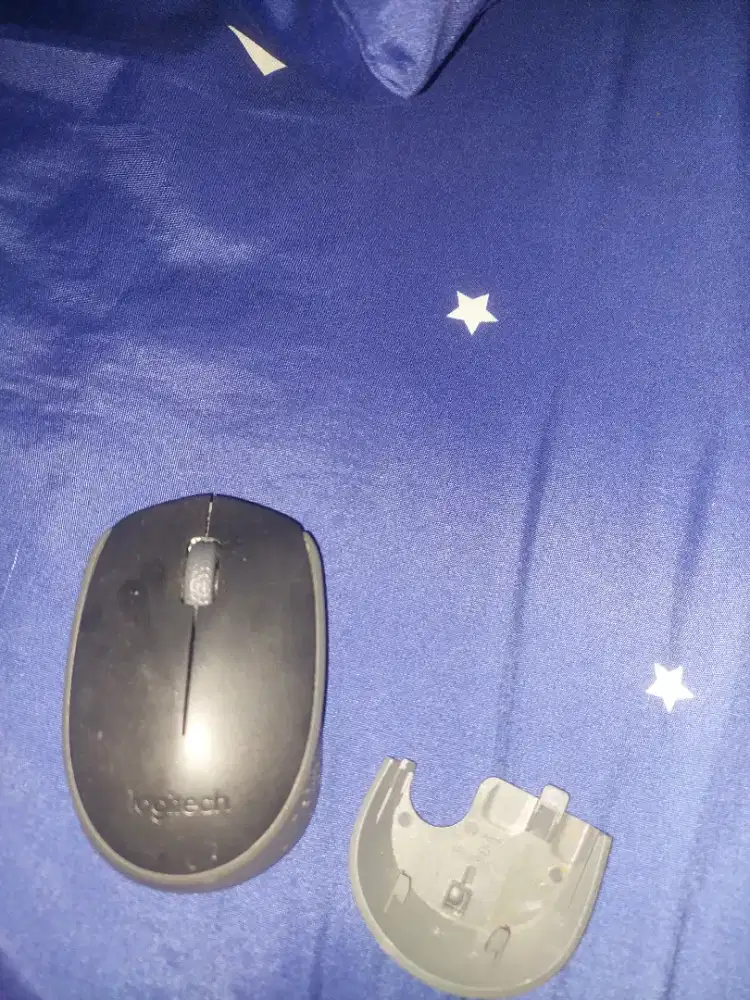 Logitech Wireless Mouse M170