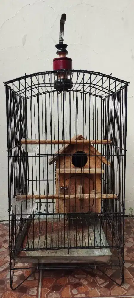 Kandang burung besi