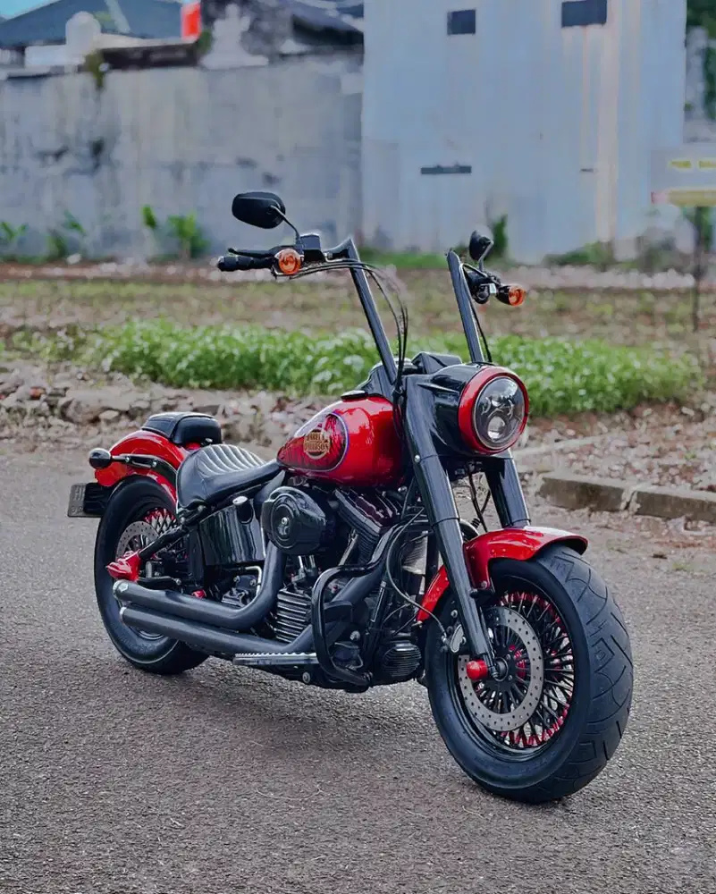 HARLEY DAVIDSON SOFTAIL SLIM 2014 FP