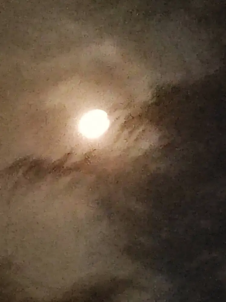 Cari loker driver lulusan smp