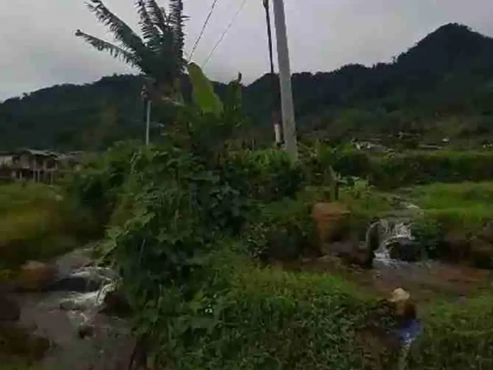di jual lahan kebun air melimpah akses jalan puncak 2 Sukamakmur bogor