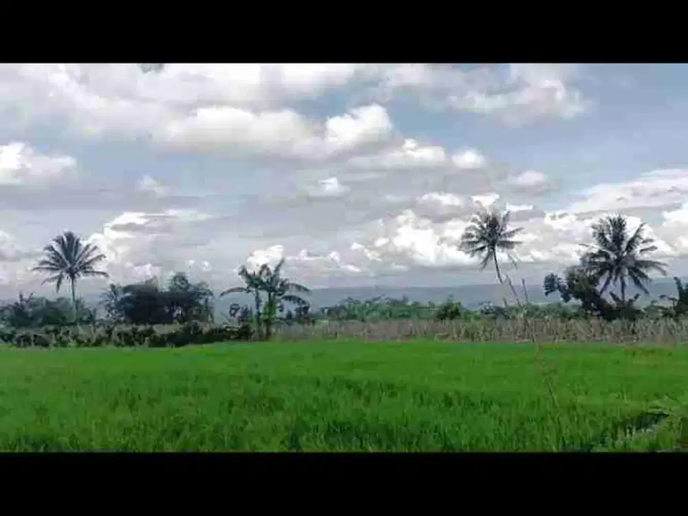 di jual tanah kebun subur air melimpah akses mobil di Cidahu Cicurug Sukabumi