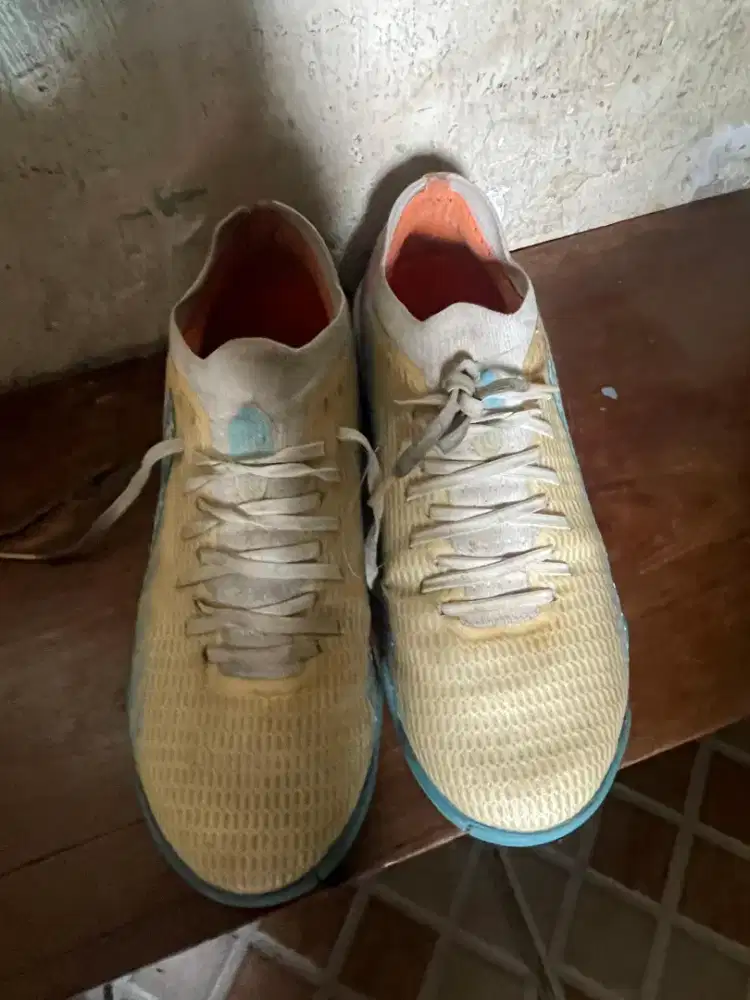 Ortus cataylts UK 41