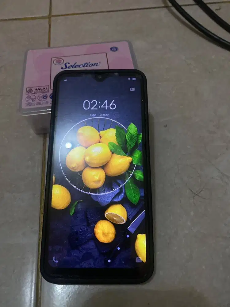 VIVO Y21 atau S1 ( 1907 )