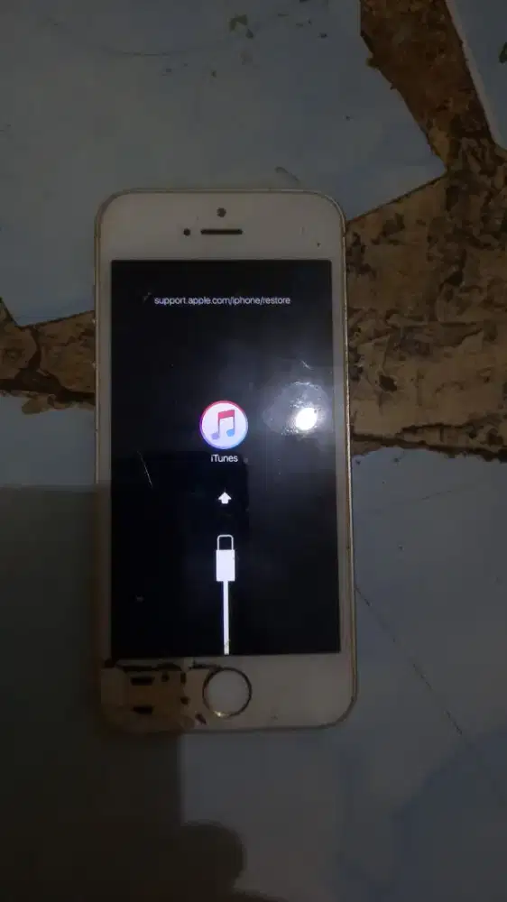 Apple 5s apa ada nya