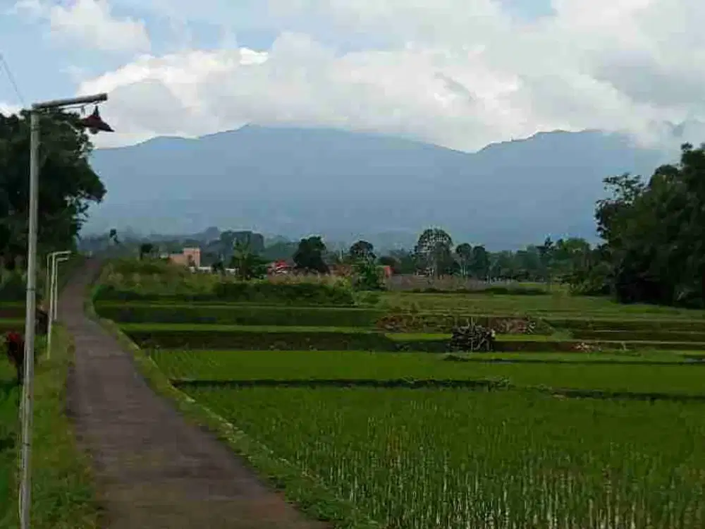 tanah darat