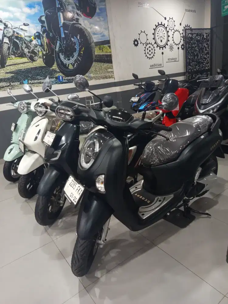Scoopy Prestige 2025