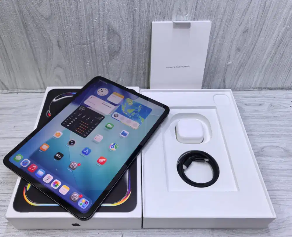 Ipad Pro M4 11inc 256 Black Wifi Second Mulus