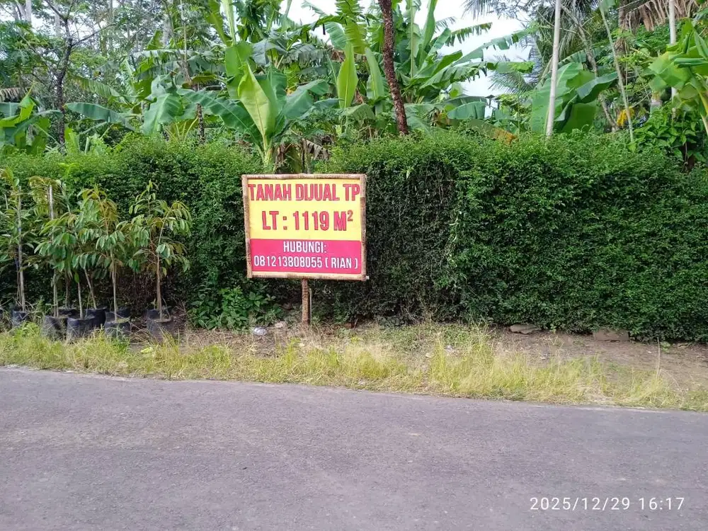 DIJUAL TANAH INVESTASI MAGELANG BOROBUDR