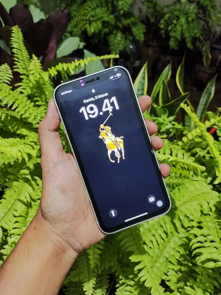 iPhone XR 64 GB housing 17 pro