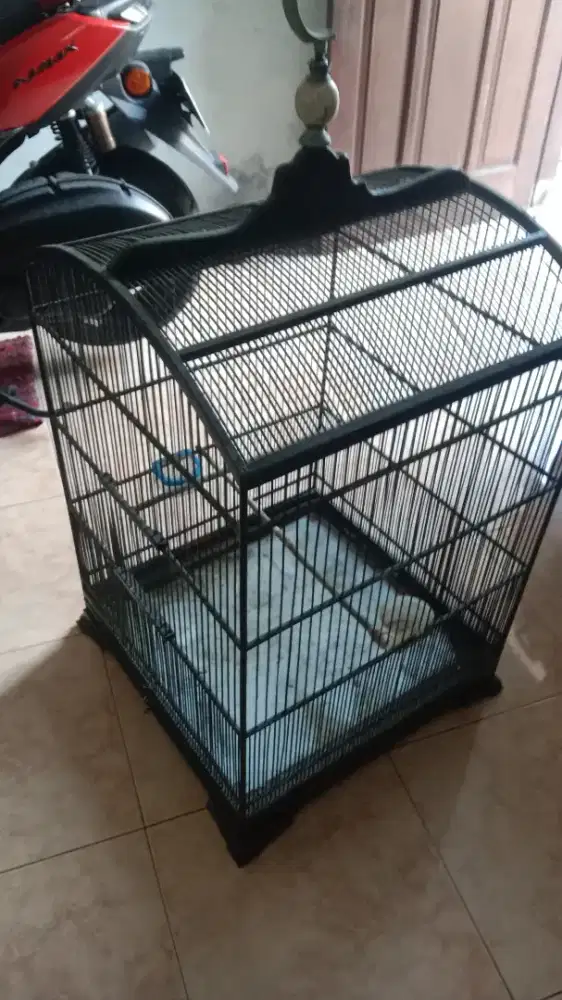 Sangkar kosan papan pendek uk 55