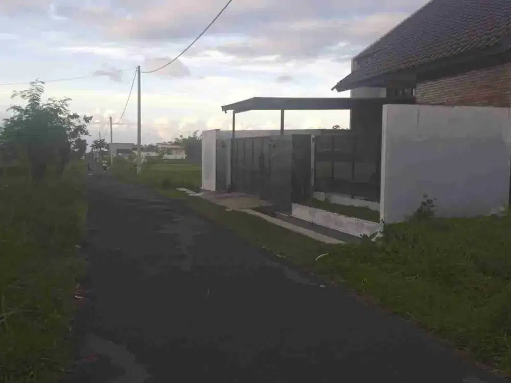 diJual Tanah sawah view merapi Di Barat Pasar rejondani Dekat jalan notosukarjo