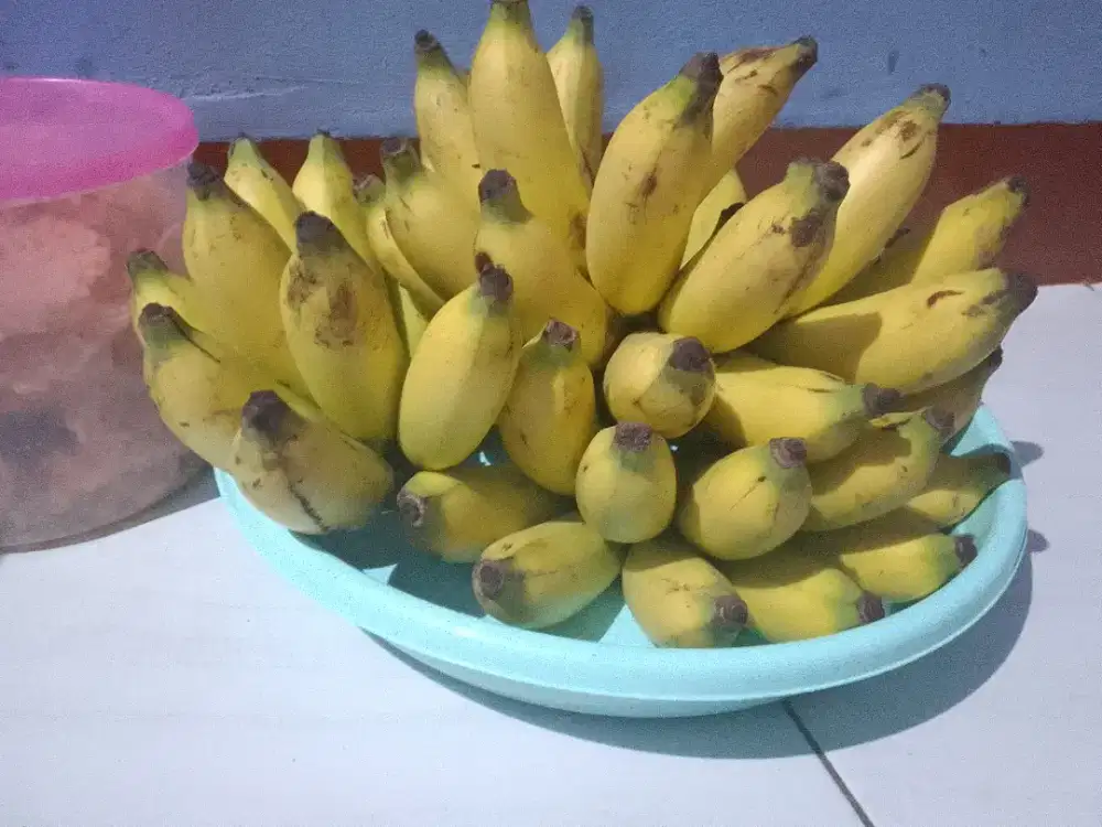 Mencari pekerjaan infal lebaran