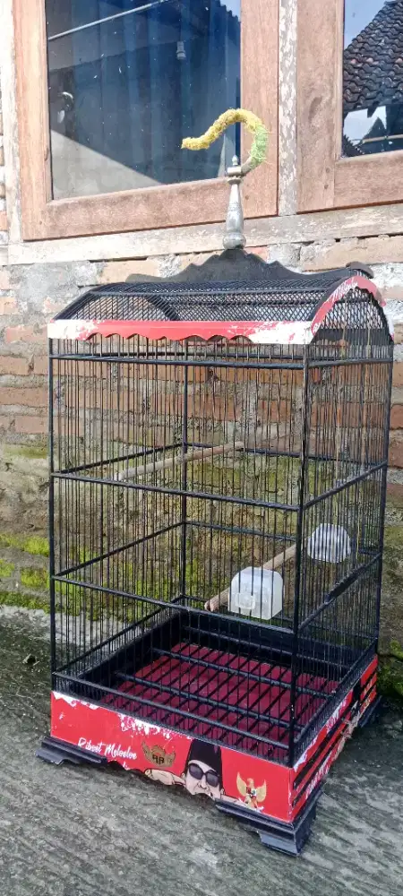 Sangkar khosan mewah cocok buat cendet