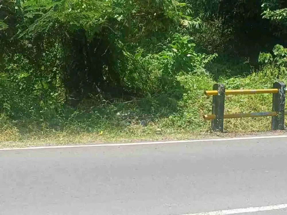 Di jual tanah pinggir jalan raya Sempol Canggu, sangat cocok untuk restoran, cafe, ruko dll