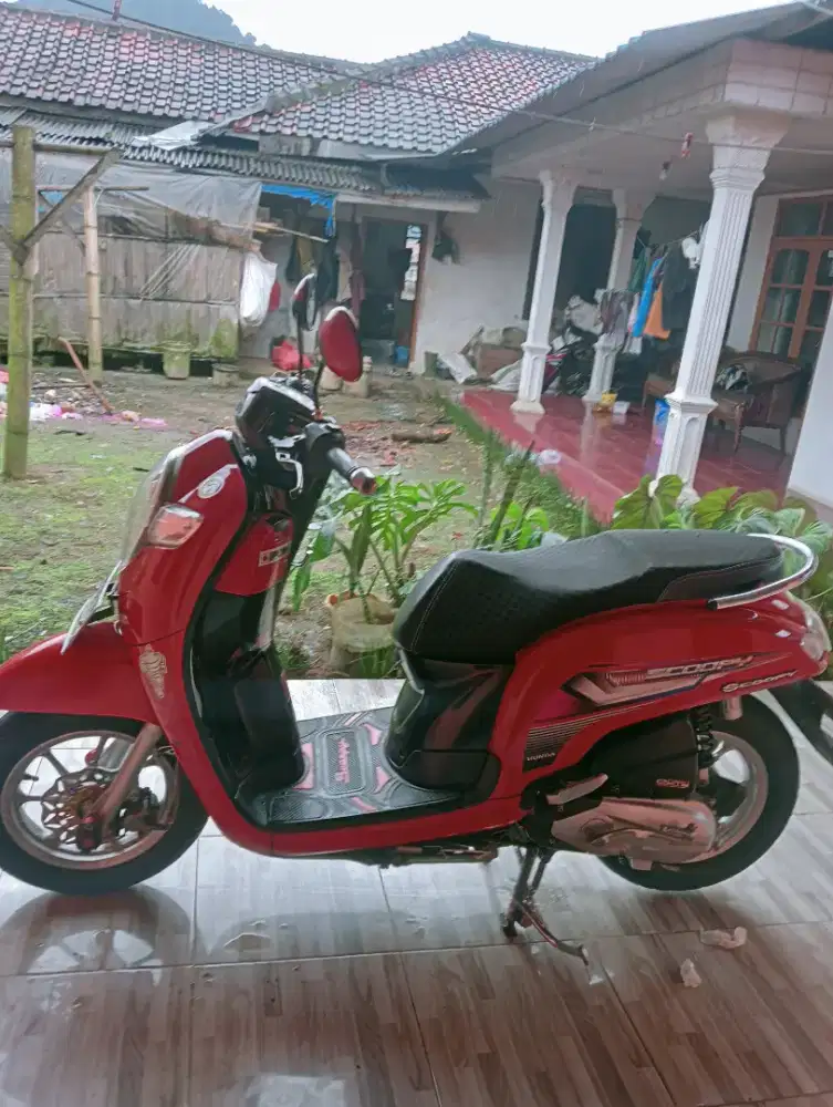 Secopy donat mulus ganteng