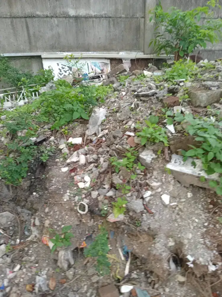 Gragal gratis gratis