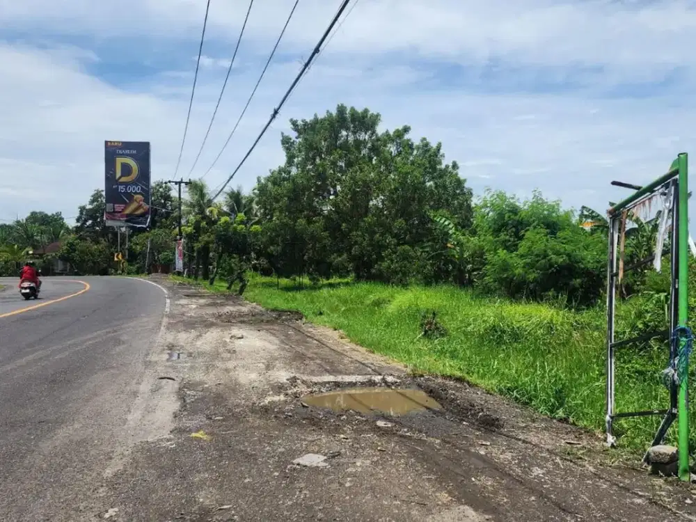 Tanah ±6 Ha koridor utama logistic, dijual di by pass Gilimanuk.
