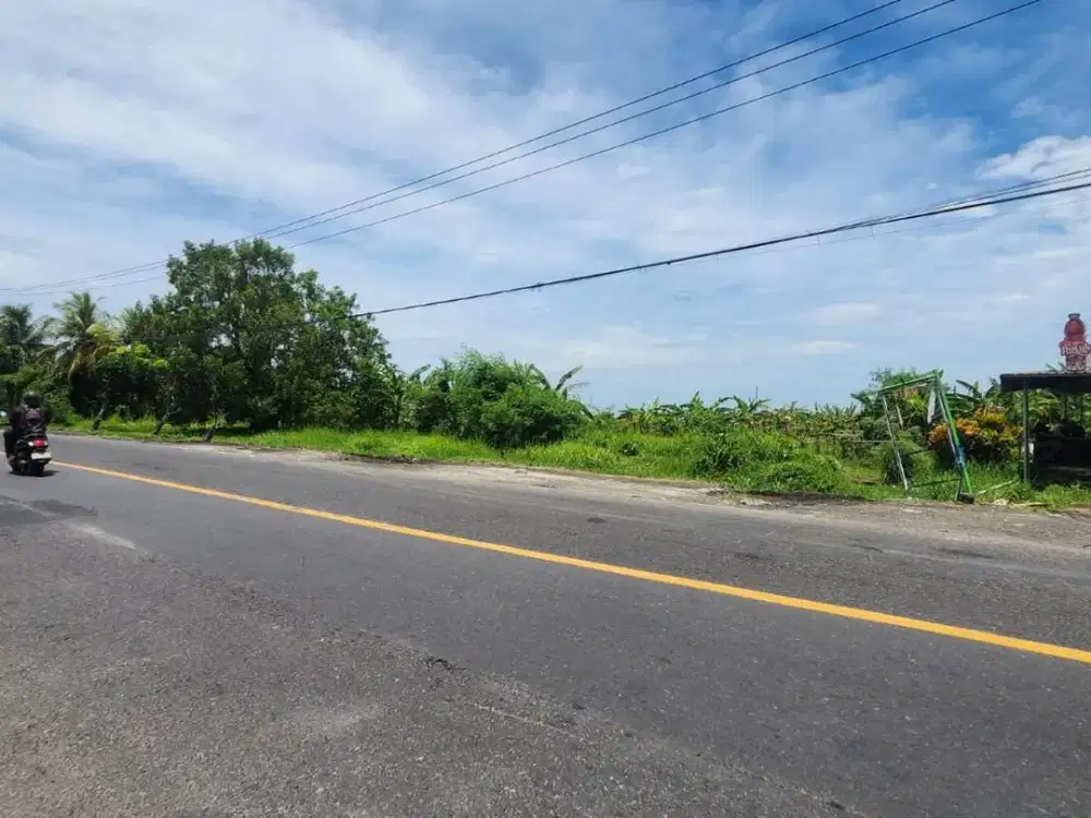 Tanah ±6 Ha koridor utama logistic, dijual di by pass Gilimanuk.