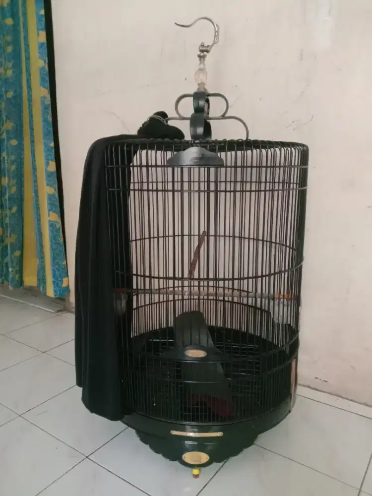 Kandang murai BNR PVC no 2 fulset 850 k pondok aren