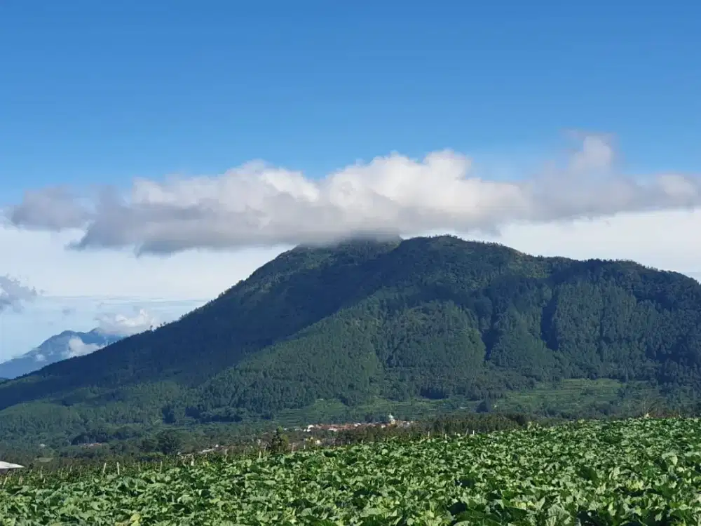Tanah non pertanian di telomoyo
