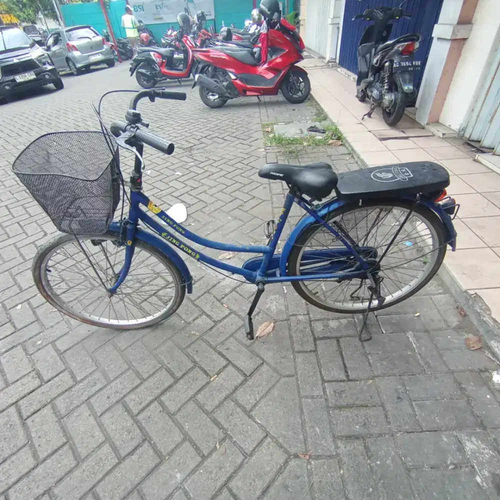 Sepeda Sayur [GRATIS ANTAR JIKA DEKAT PEREMPATAN RUMAH SAKIT LAMA]