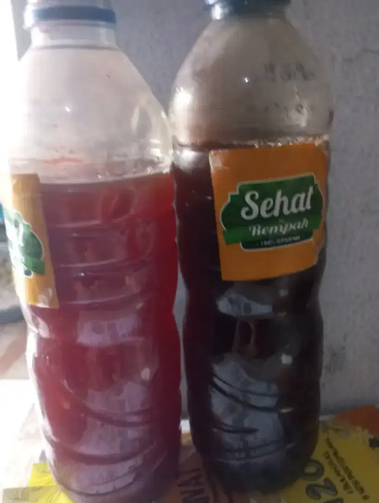 Jasa terapis sehat bugar