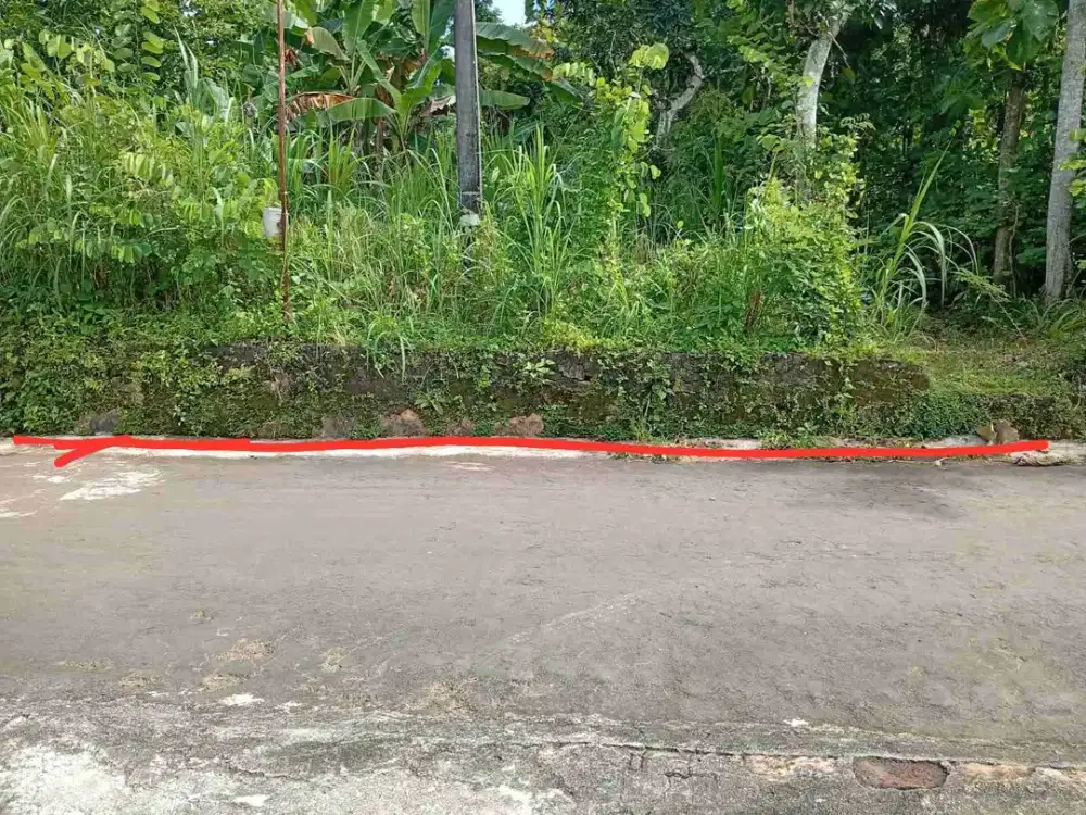 Tanah SHM Strategisdi Kota Wonosari Gunung Kidul - SM