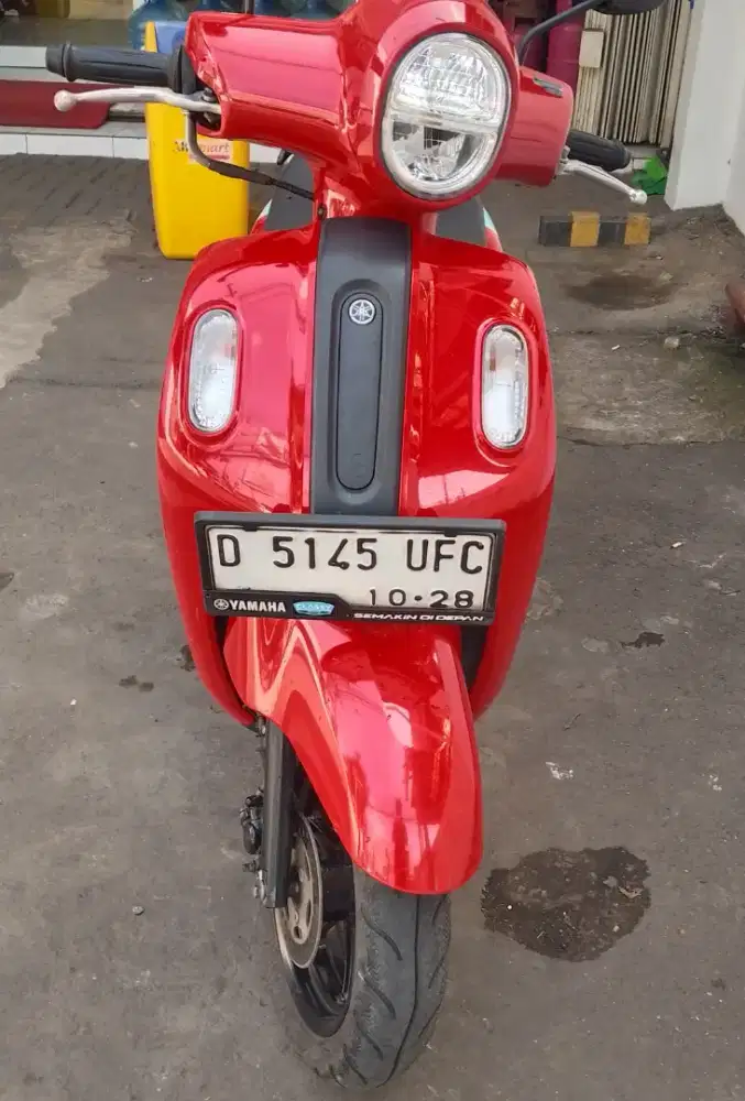 Fazzio merah merona mulus