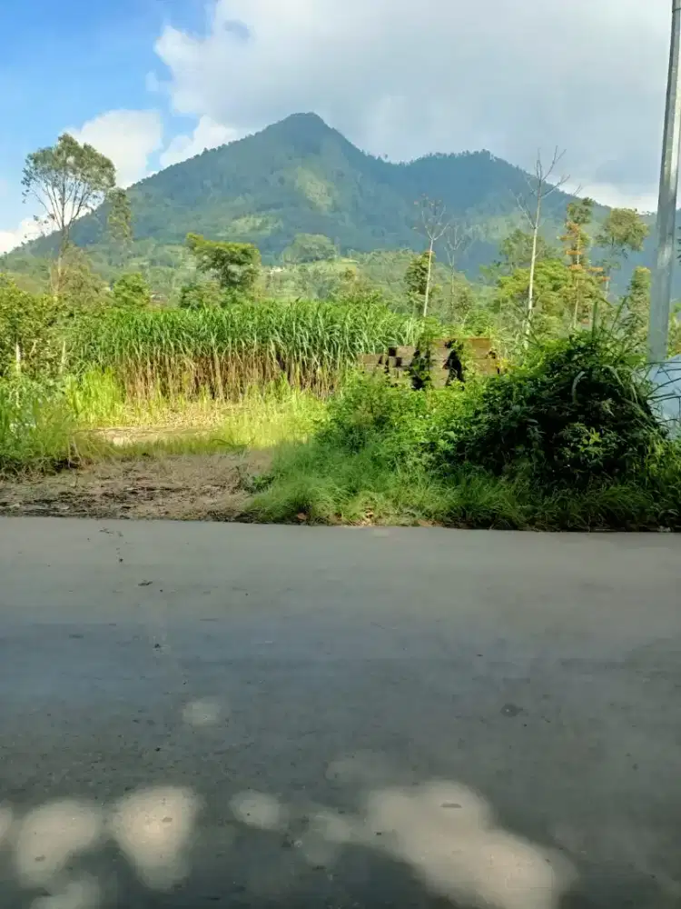 Tanah kebun di getasan