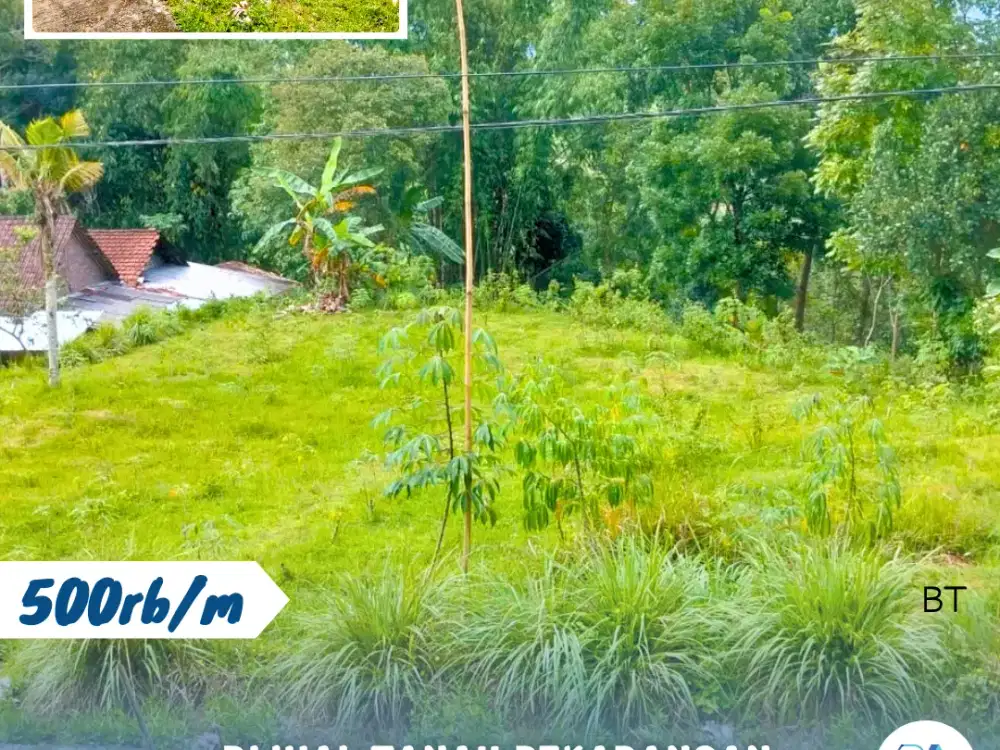 Di Jual Tanah Pekarangan Lokasi Doyosari Karanganyar