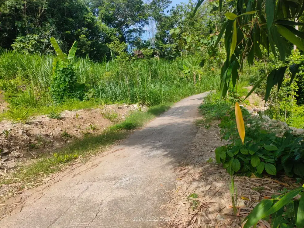 Tanah Murah Bantul 10 Menit RS Nur Hidayah