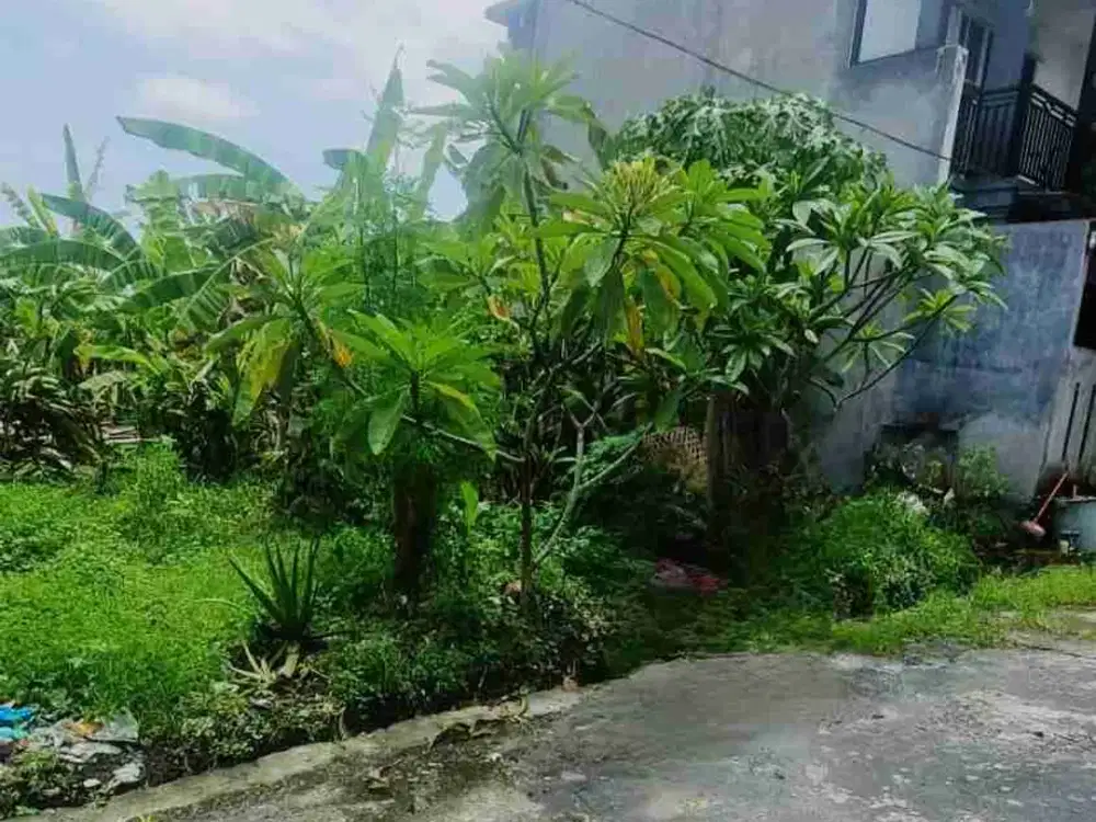 Jual Tanah 1 are Lokasi Jl Tukad Buana Sempidi area Pemukiman strategis