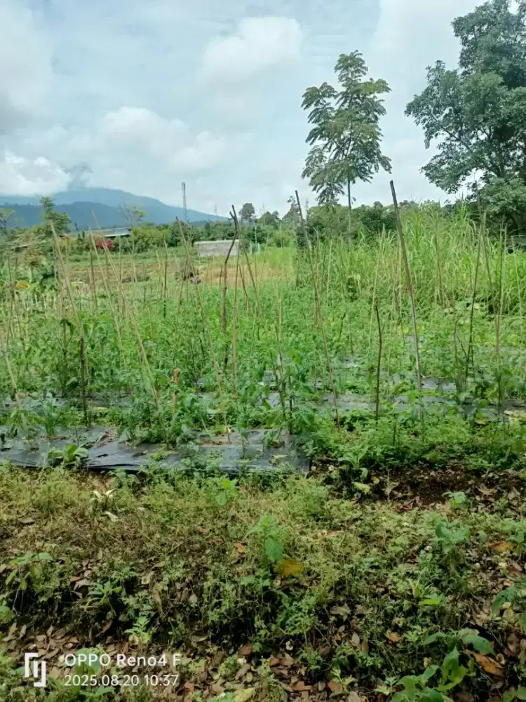 Jual tanah di kopeng area