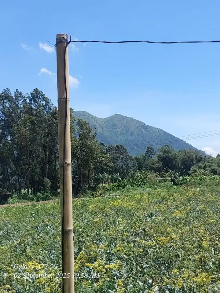 Tanah di ngablak view bagus