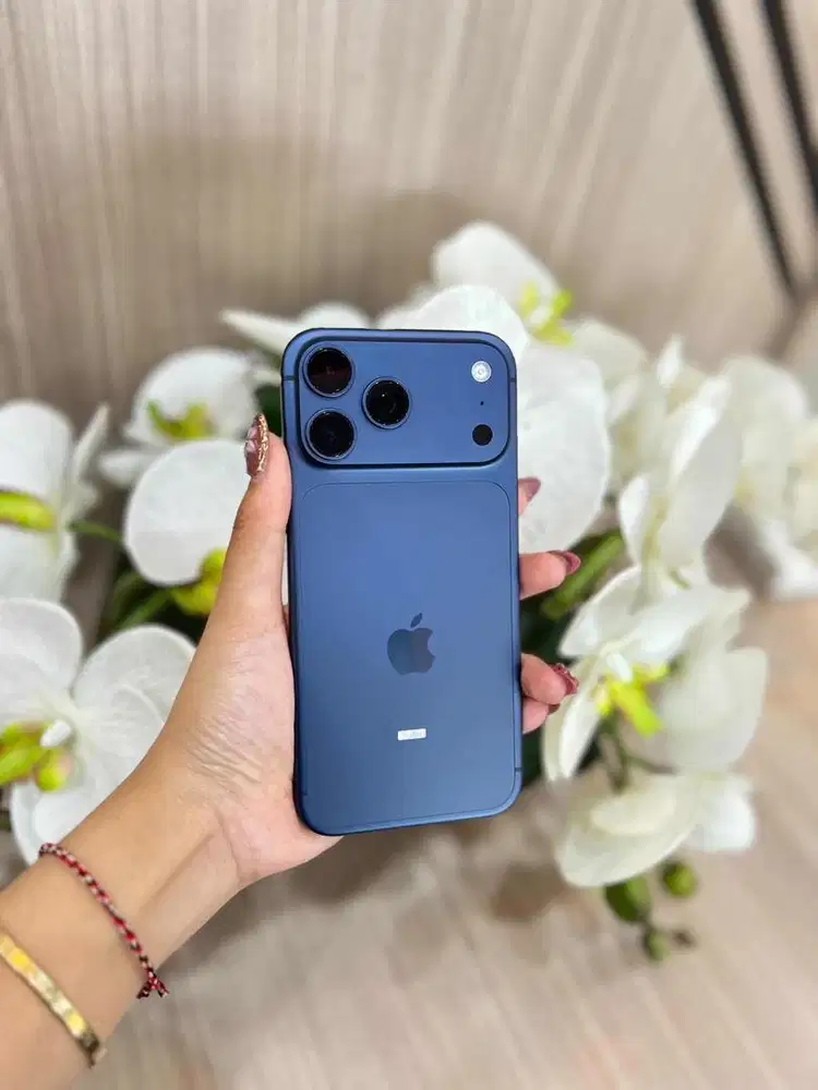 17 promax 256gb ex ibox