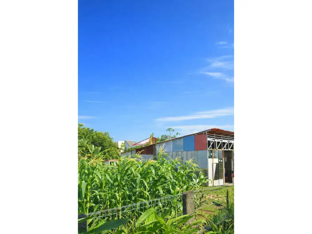 DIJUAL TANAH KAVLING SHM BAGUS STRATEGIS DALAM PERUMAHAN MUTIARA BOGOR RAYA BOGOR BO199