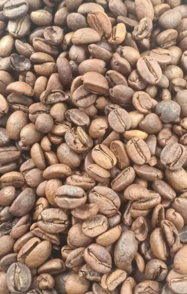 Kopi Arabica Manglayang proses Wine