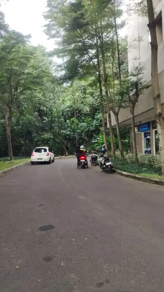 Pengasuh anak 1.5 tahun