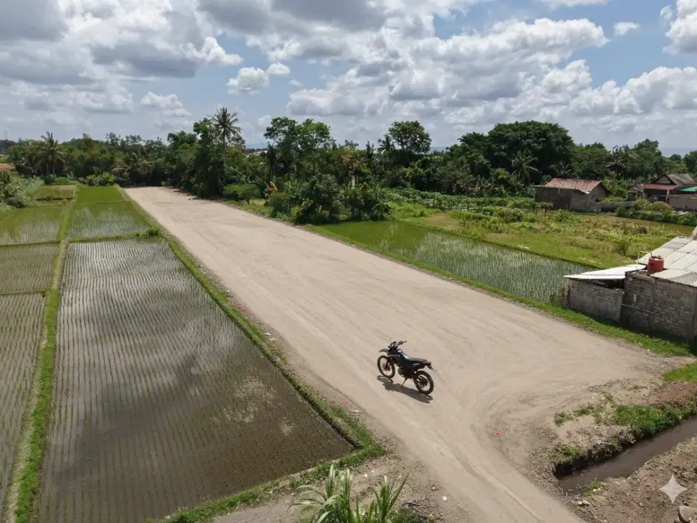 Tanah SHM Utara Ringin Pandowoharjo