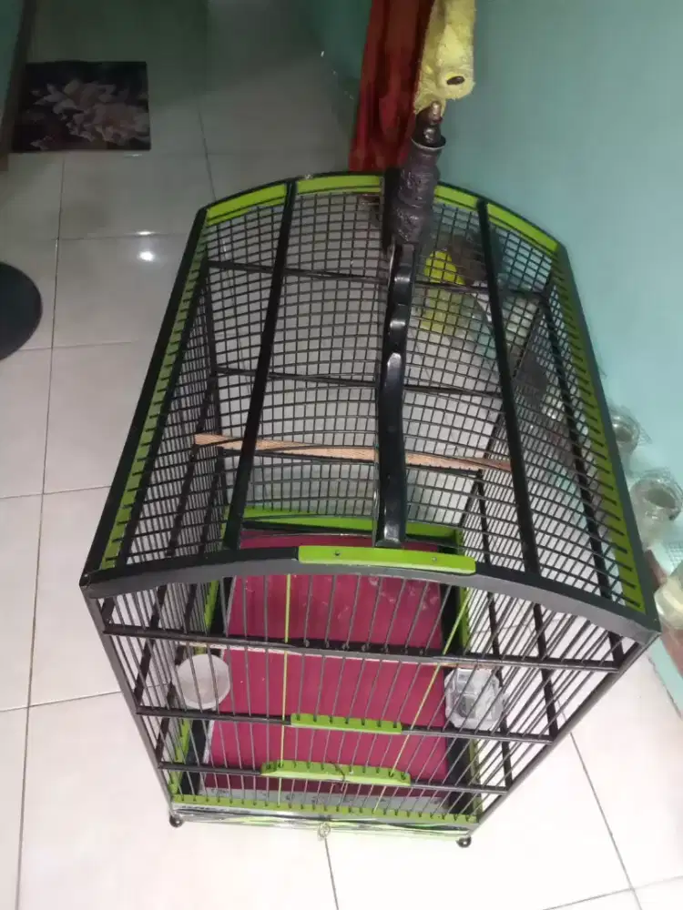 Jual sangkar kondisi 90 persen bagus