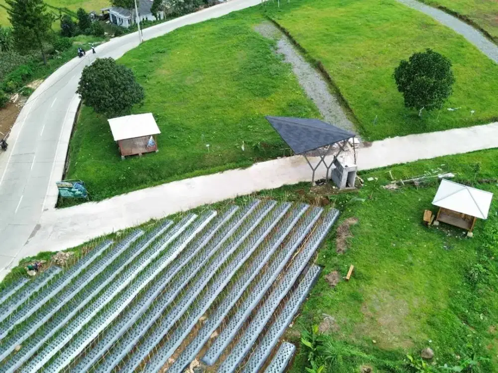 Tanah Kavling Bogor SHM – Cocok untuk Investor Properti