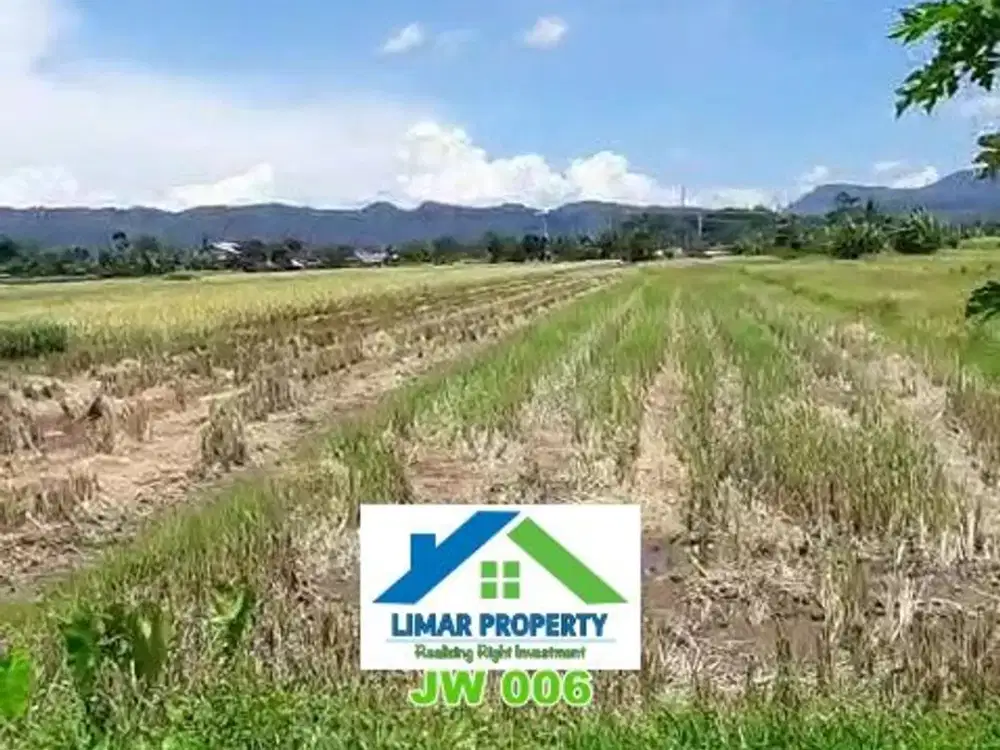 Kavling Sawah Luas Pinggir Jalan Harga Bagus di Berbah, Sleman