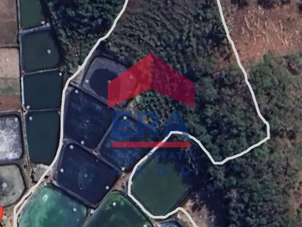 Dijual Tanah di Jalan Desa Pagar Kidul Kab Pacitan