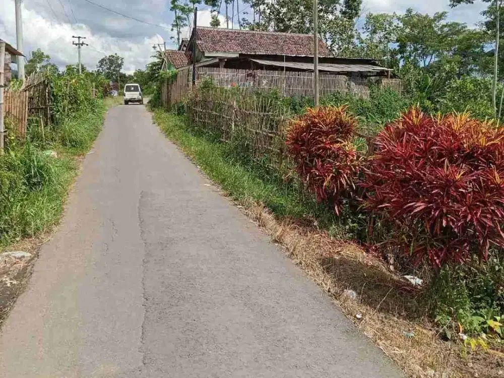 Kebun Jeruk Kampung Poncokusumo Malang