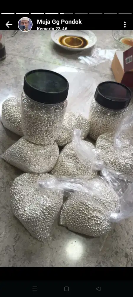 Ready perak murni bentuk grandul DNA batangan kadar 99%