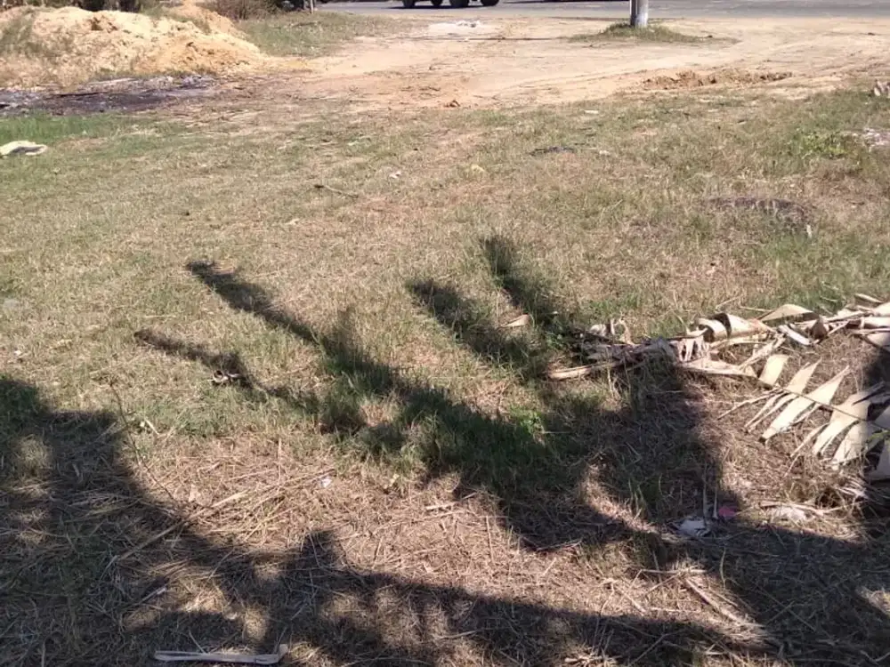 Tanah TambakBoyo Tuban